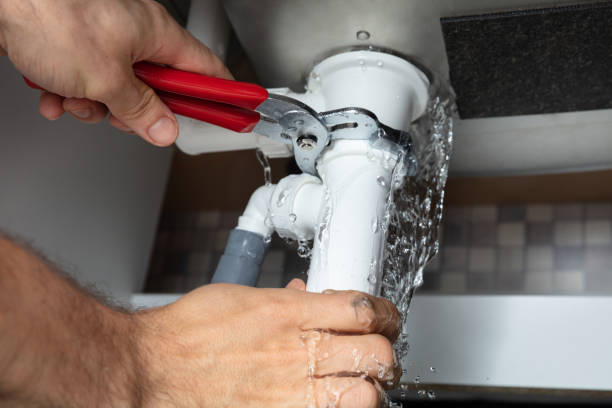 Best Water damage cleanup near me  in Bayou La Batre, AL