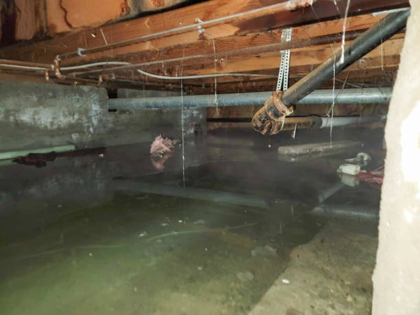 Best Sewage cleanup and water damage restoration  in Bayou La Batre, AL