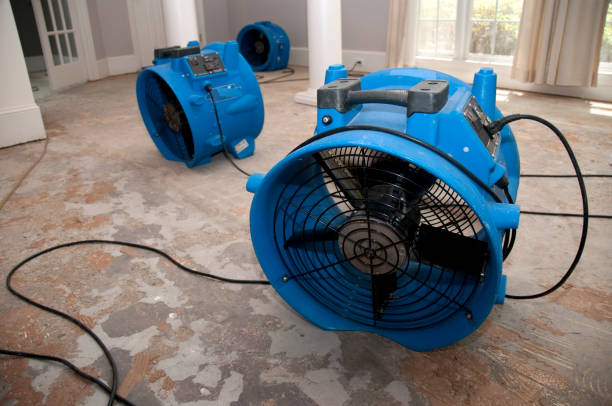 Best Sewage cleanup and water damage restoration  in Bayou La Batre, AL