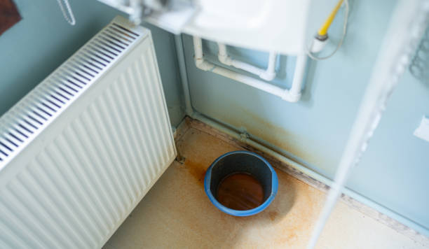 Best Fire Damage Restoration  in Bayou La Batre, AL